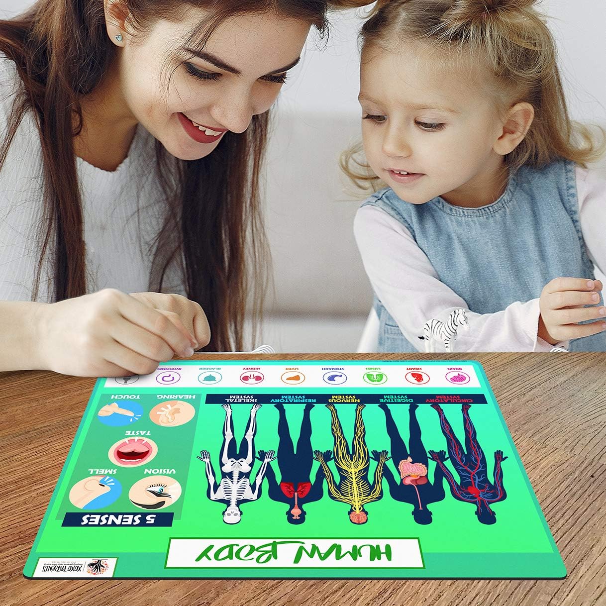 Kids Placemat - School Age - XOXO Parents