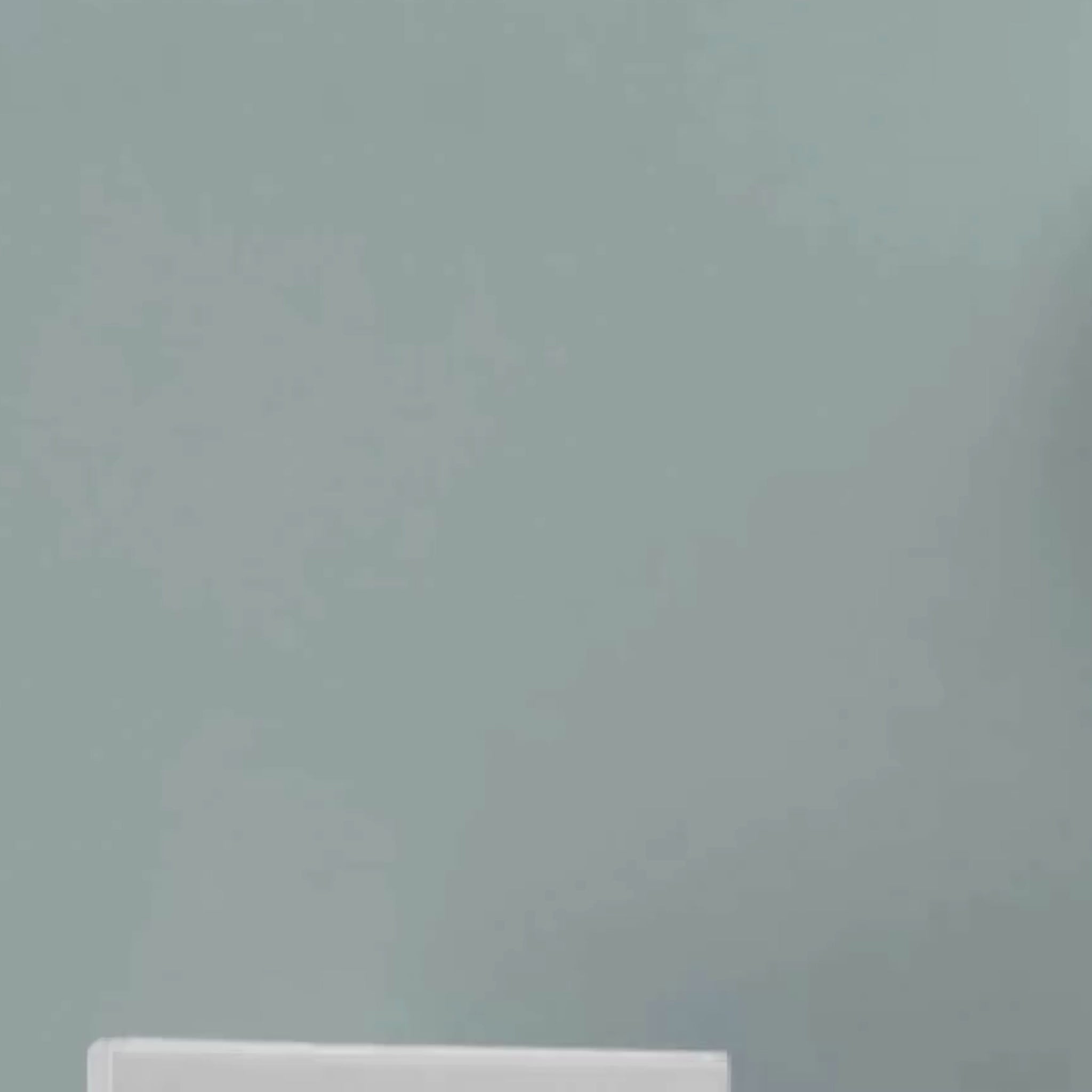 2025 Planner (Printable) - FREE GIFT